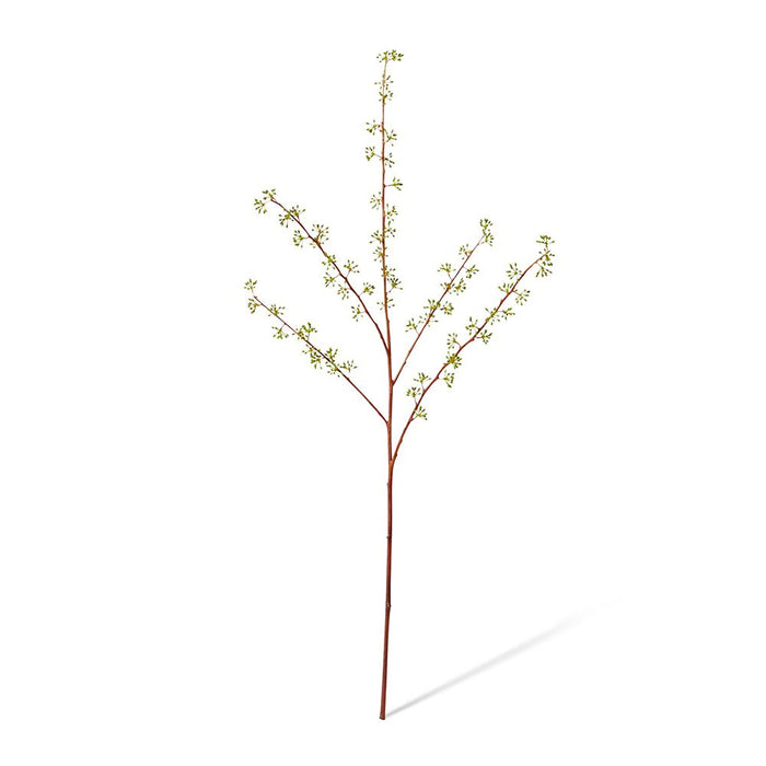 Seeding Eucalyptus Spray Pack of 12 - Green/Red, 85cm (H)