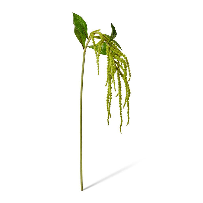 Amaranthus Spray Pack of 12 - Green, 114cm (H)