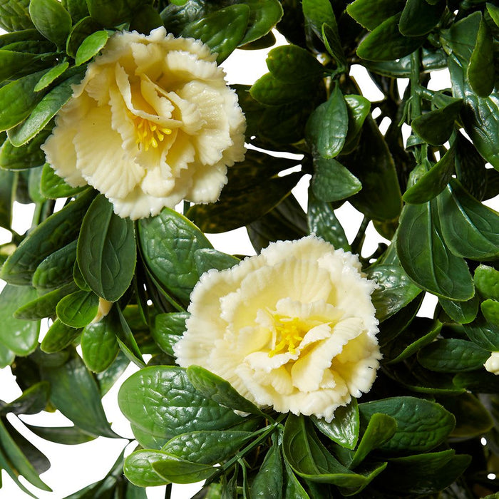 Begonia (Outdoor) Hanging Pack of 10 - White, 89cm (H)