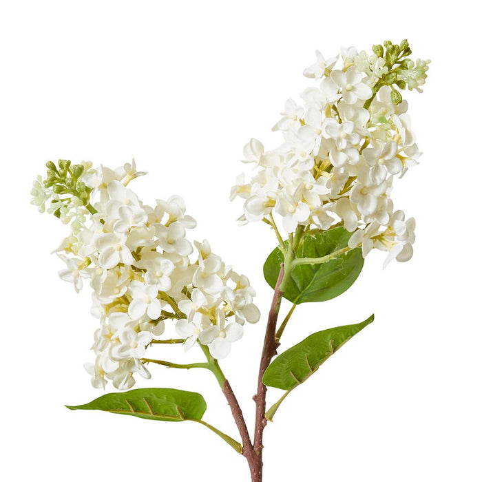 Lilac Spray Pack of 12 - White, 66cm (H)