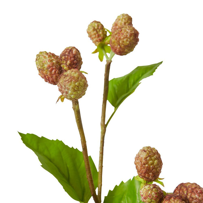 Mulberry Spray Pack of 12 - Green Brown, 66cm (H)