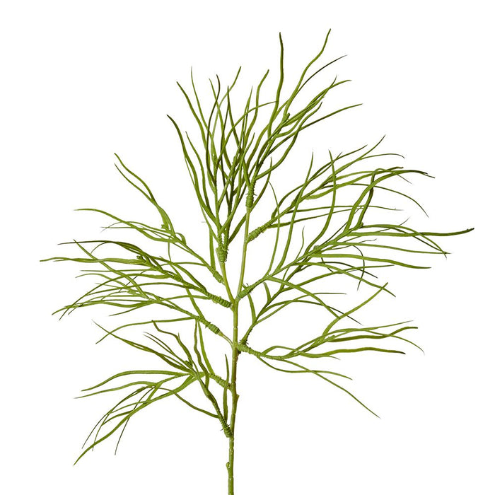 Grevillia Foliage Spray Pack of 12 - Green, 74cm (H)