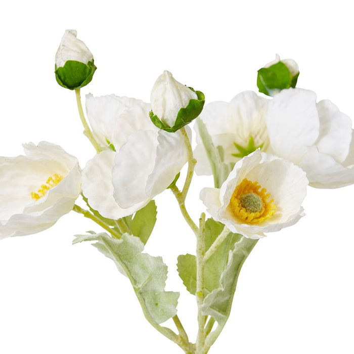 Poppy Bundle (RT) Pack of 12 - White, 35cm (H)