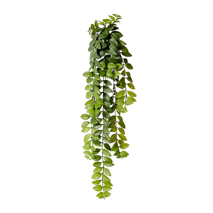 Honey Locust Hanging Bush Pack of 12 - Green, 86cm (H)