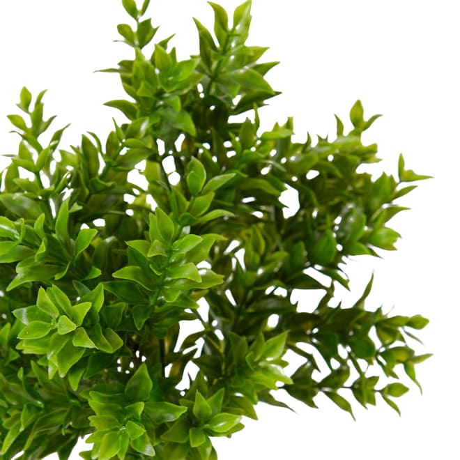 Tea Leaf Bush Pack Of 12 - Green, 29cm (H)