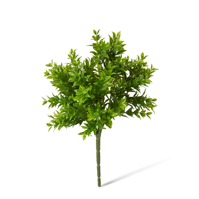 Tea Leaf Bush Pack Of 12 - Green, 29cm (H)