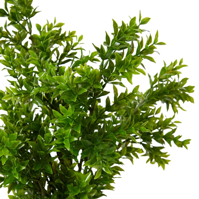 Tea Leaf Bush Pack Of 12 - Green, 41cm (H)