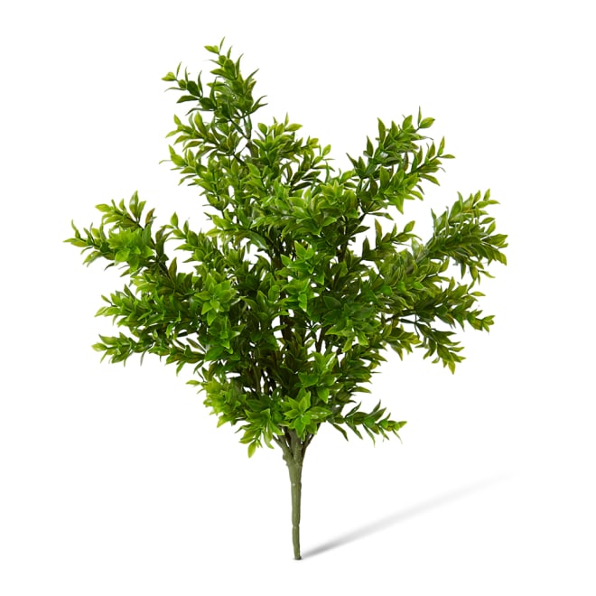 Tea Leaf Bush Pack Of 12 - Green, 41cm (H)