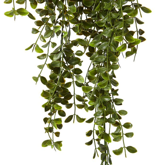 Ruscus Hanging Bush (Outdoor) Pack of 8 - Green, 86cm (H)