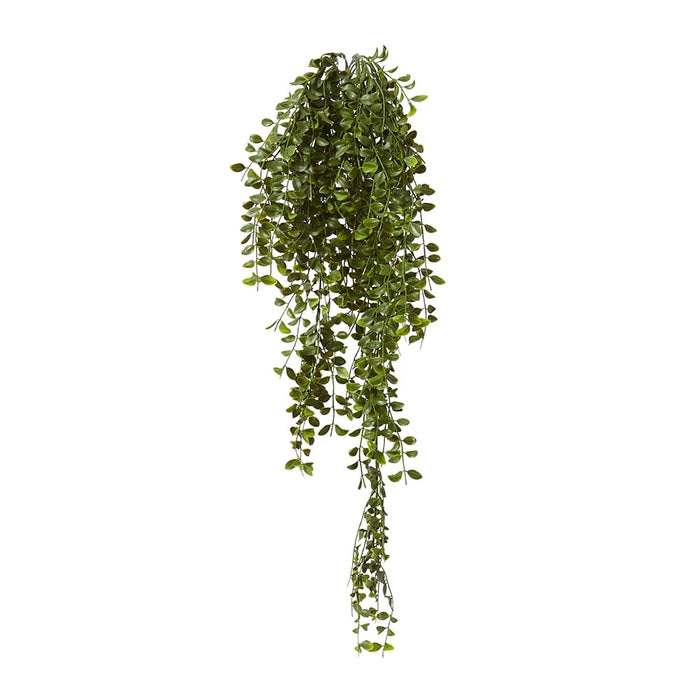 Ruscus Hanging Bush (Outdoor) Pack of 8 - Green, 86cm (H)