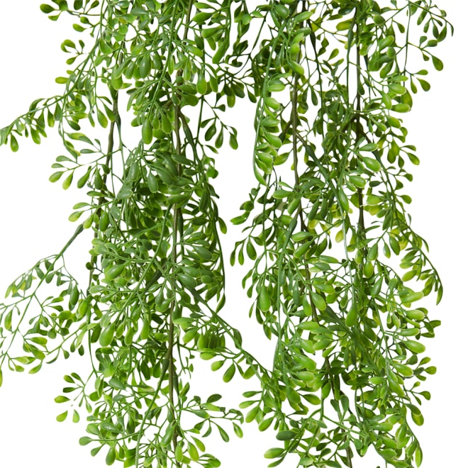 Rue Hanging Bush Pack Of 12 - Green, 89cm (H)