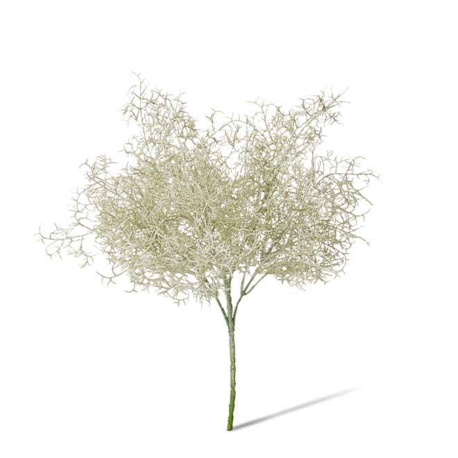 Airplant Bush Pack Of 24 - Grey Green, 37cm (H)