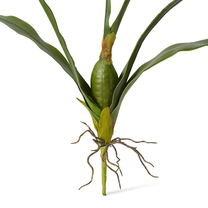 Orchid Oncidium Leaf Pack of 12 - Green, 72cm (H)