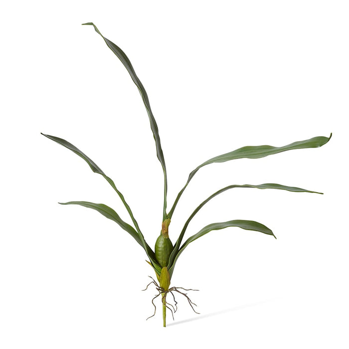 Orchid Oncidium Leaf Pack of 12 - Green, 72cm (H)