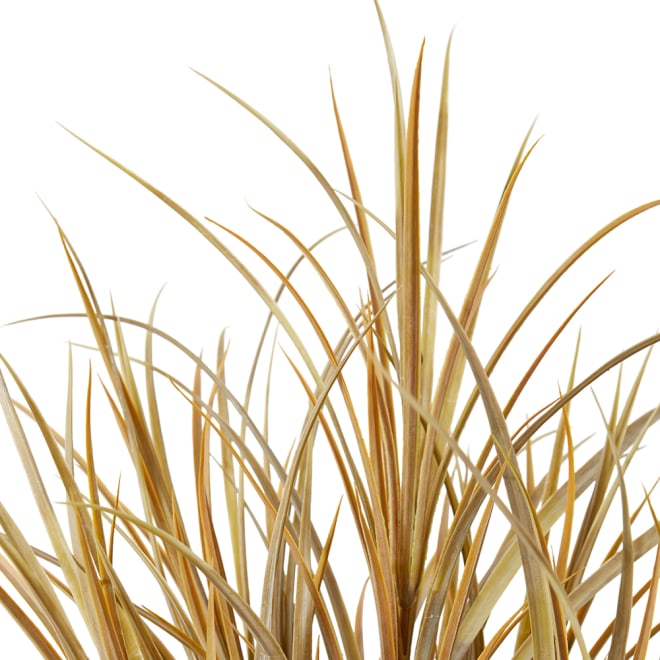 Grass Bush Pack of 12 - Light Brown, 64cm (H)
