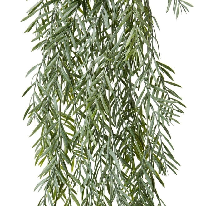 Acacia Hanging Bush Pack of 12 - Grey Green, 110cm (H)