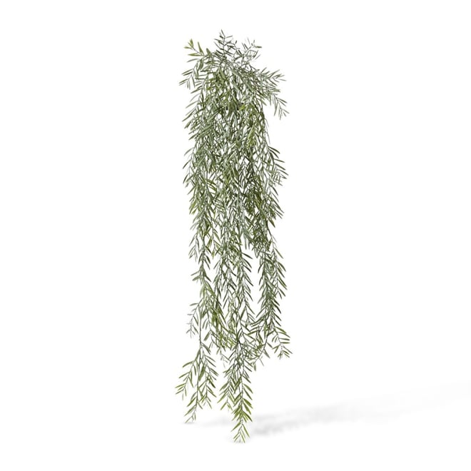 Acacia Hanging Bush Pack of 12 - Grey Green, 110cm (H)