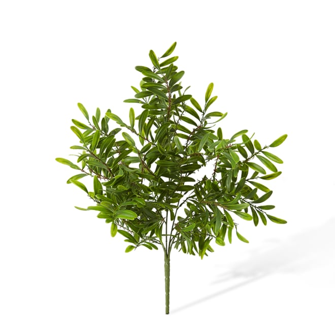 Locust Bush Pack of 12 - Green, 48cm (H)