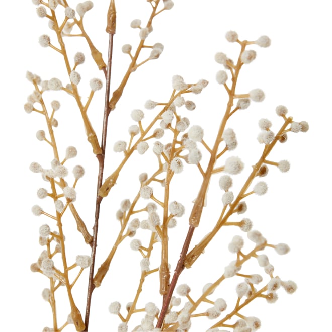 Willow Mini Bush Pack of 12 - Beige, 48cm (H)