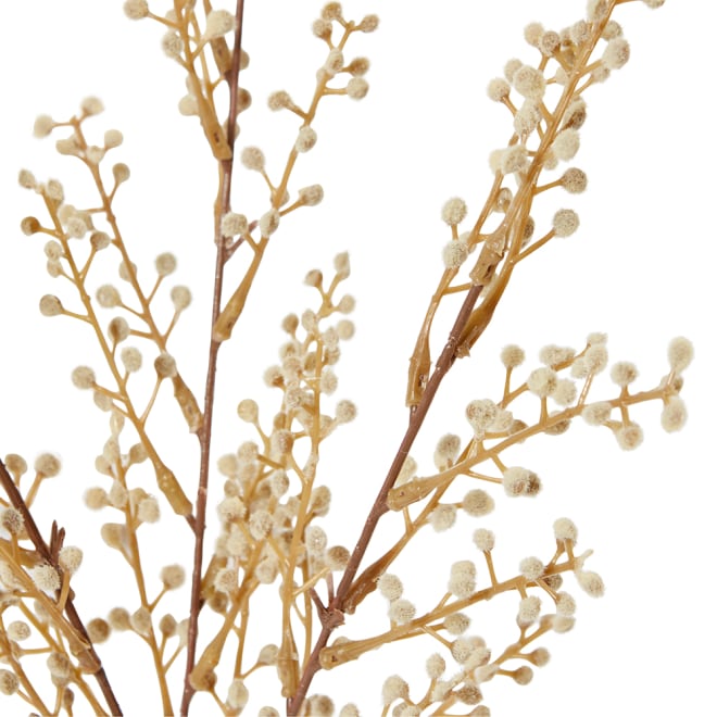 Willow Mini Bush Pack of 12 - Natural, 48cm (H)