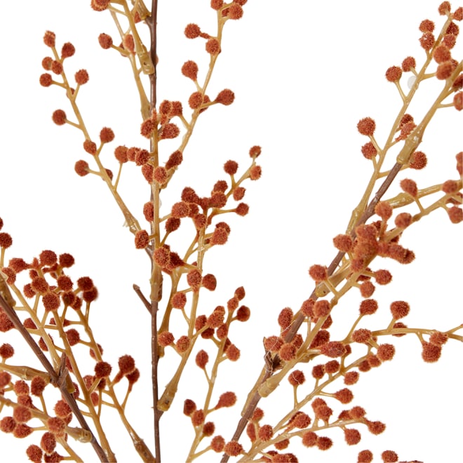 Willow Mini Bush Pack of 12 - Rust, 48cm (H)
