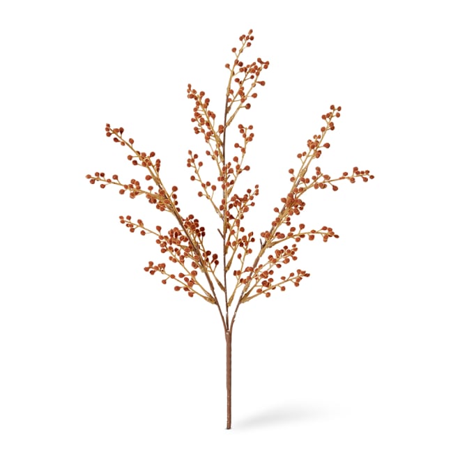 Willow Mini Bush Pack of 12 - Rust, 48cm (H)