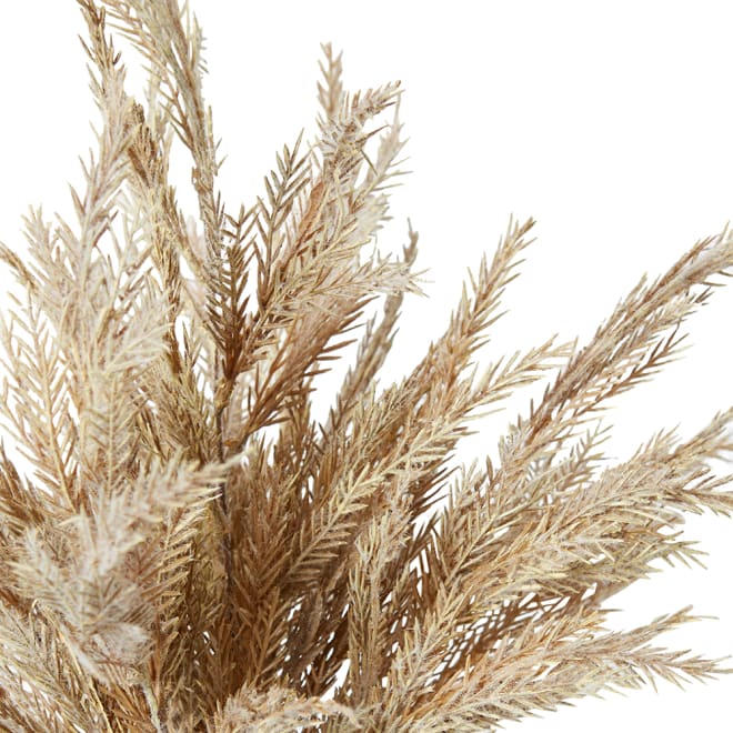 Grass Feather Bush Pack of 12 - Beige, 55cm (H)