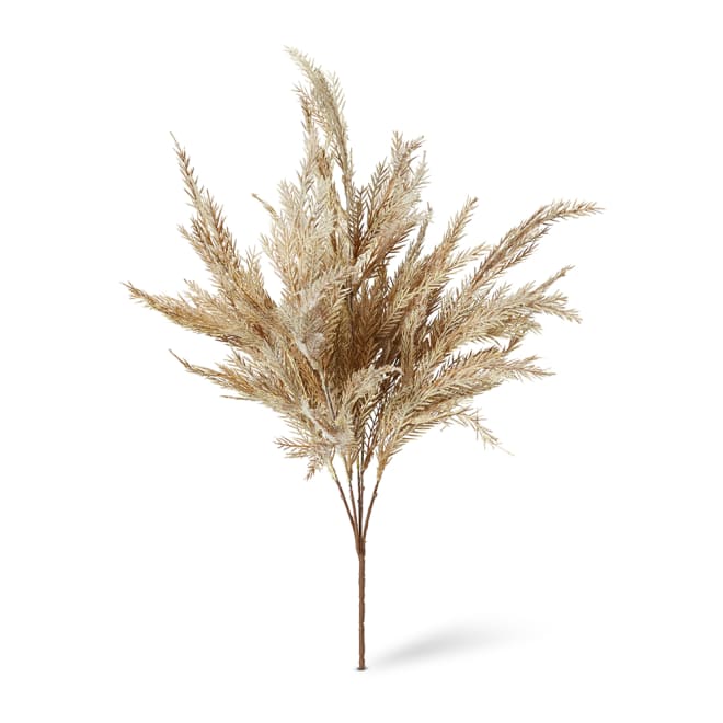 Grass Feather Bush Pack of 12 - Beige, 55cm (H)