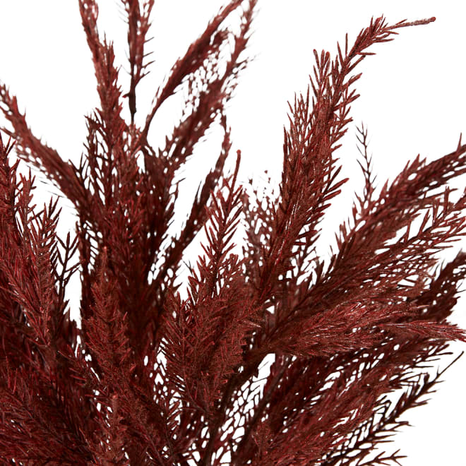 Grass Feather Bush Pack of 12 - Burgundy, 55cm (H)