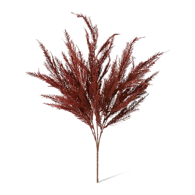 Grass Feather Bush Pack of 12 - Burgundy, 55cm (H)