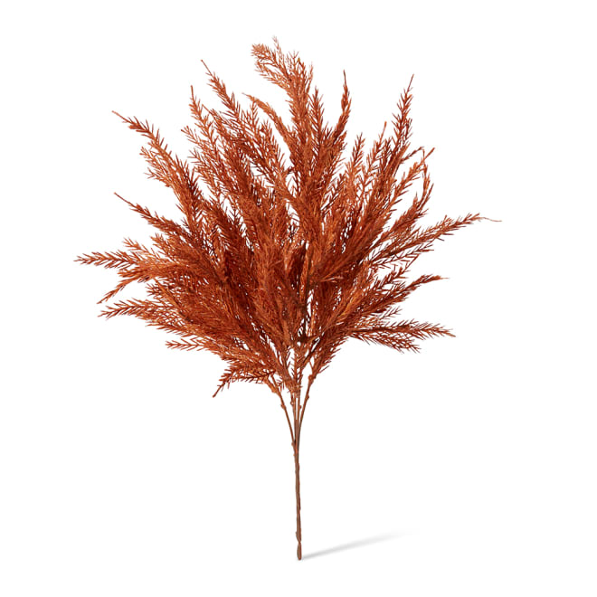 Grass Feather Bush Pack of 12 - Rust, 55cm (H)