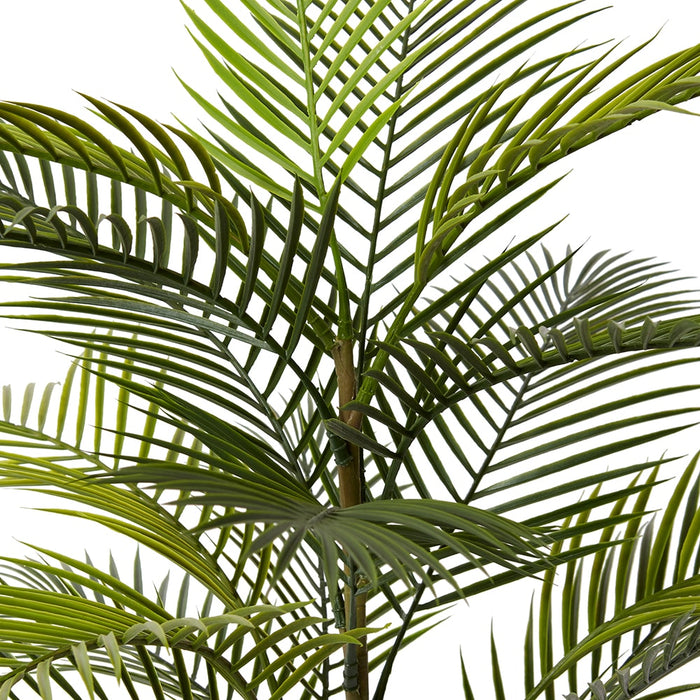 Areca Plam (Outdoor) - Green, 90cm (H)