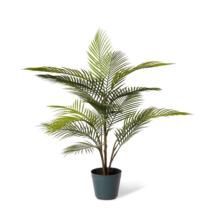Areca Plam (Outdoor) - Green, 90cm (H)