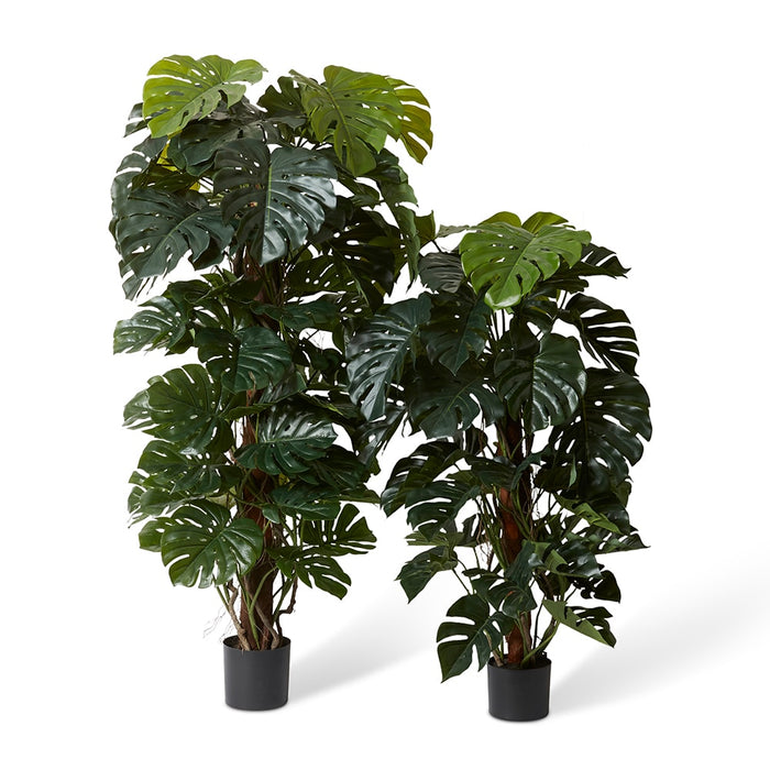 Monstera Totem Potted - Green, 180cm (H)