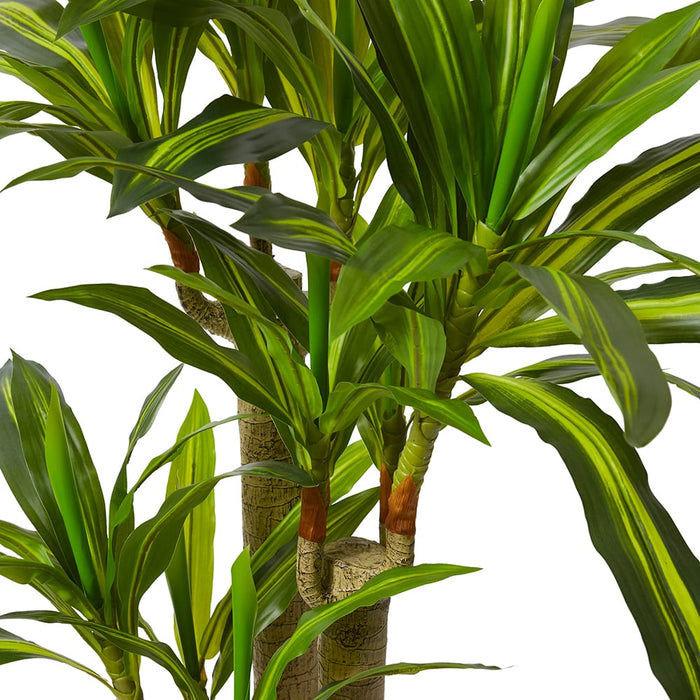 Dracaena Happy Plant - Yellow/Green, 155cm (H)