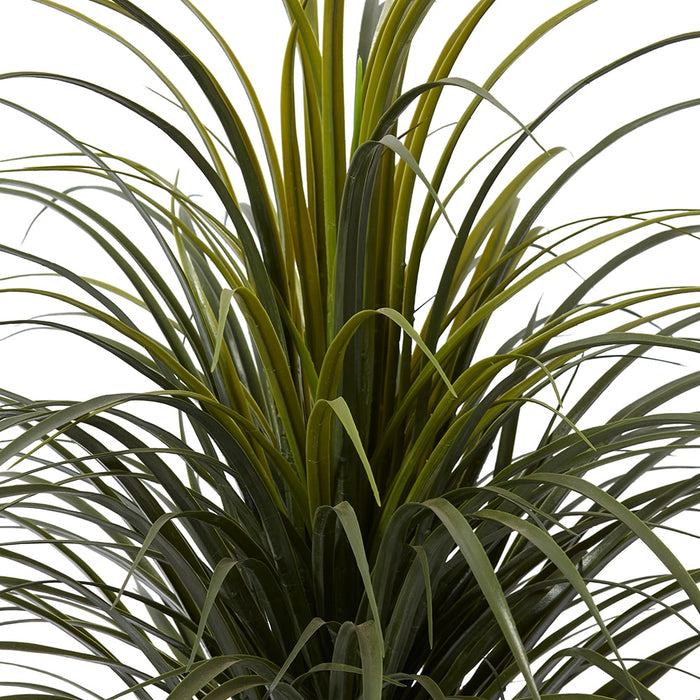 Yucca Plant Potted (Outdoor) - Green, 90cm (H)
