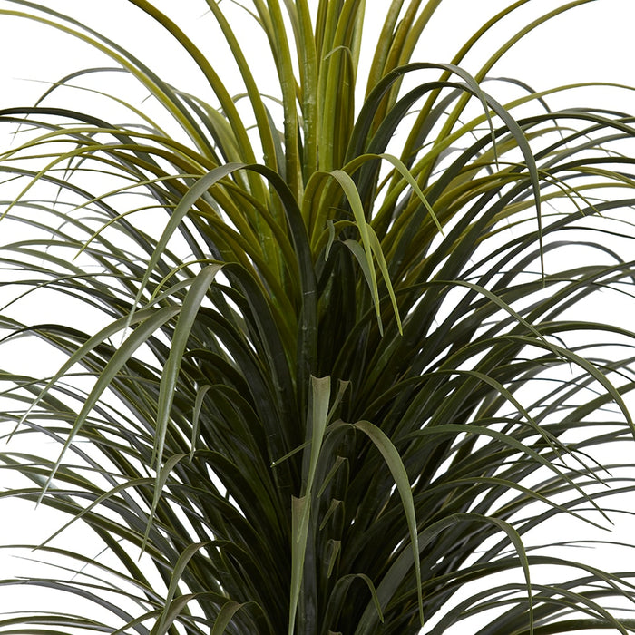 Yucca Plant Potted (Outdoor) - Green, 105cm (H)