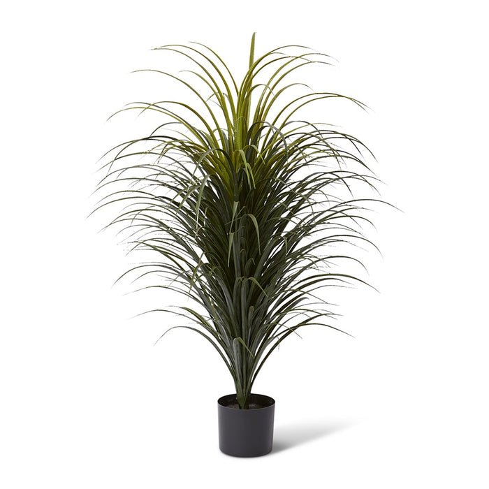 Yucca Plant Potted (Outdoor) - Green, 105cm (H)