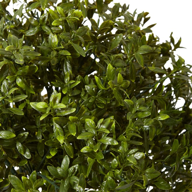 Topiary Hazel Leaf Potted (Outdoor) - Green, 76cm (H)