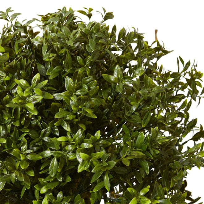 Topiary Hazel Leaf Potted (Outdoor) - Green, 91cm (H)
