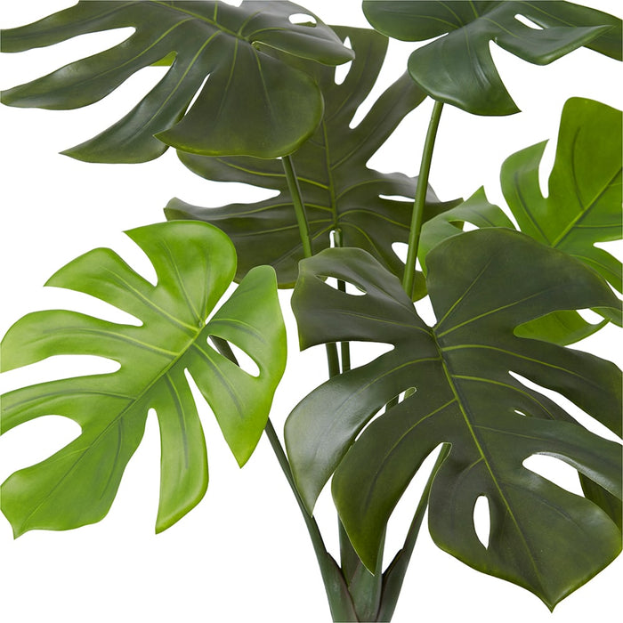 Monstera Vine Plant - Green, 80cm (H)