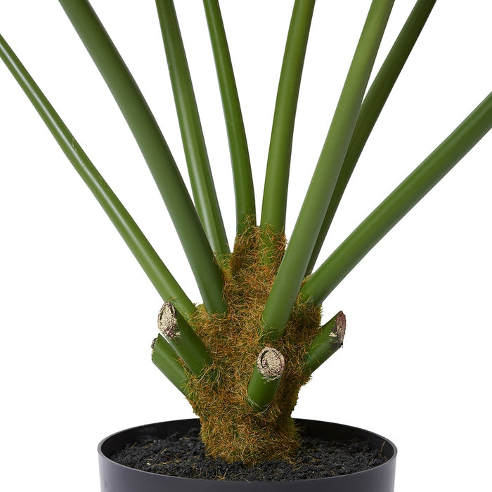 Split Philo Plant Potted - Green, 92cm (H)