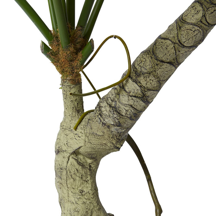 Split Philo Plant Potted - Green, 170cm (H)