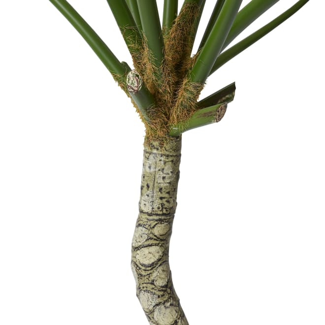 Split Philo Plant Potted - Green, 180cm (H)