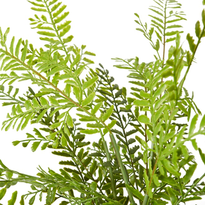 Fern Chain - Green, 46cm (H)