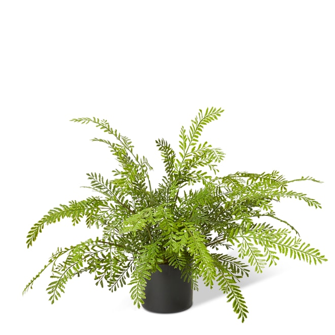 Fern Chain - Green, 46cm (H)
