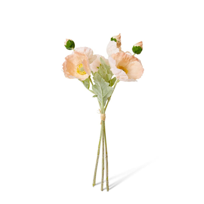 Poppy Bundle (RT) Pack of 12 - Peach, 35cm (H)