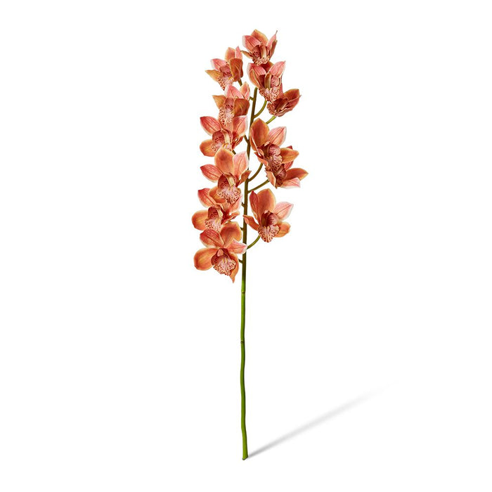 Cymbidum Grand Orchid Pack of 4 - Dark Orange, 95cm (H)