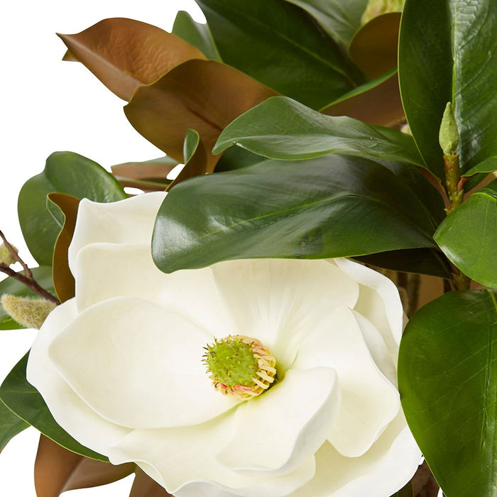Magnolia Classic (DS) - White/Clear, 48cm (H)