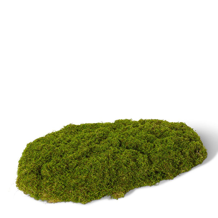 Moss Pad Large Pack of 6 - Dark Green, 20cm (H)